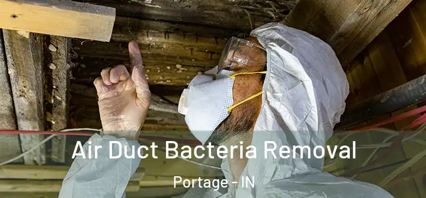  Air Duct Bacteria Removal Portage - IN