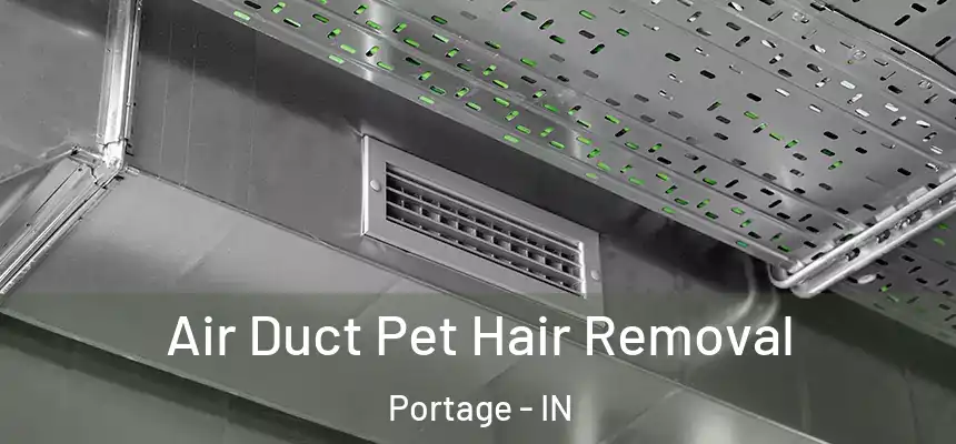  Air Duct Pet Hair Removal Portage - IN