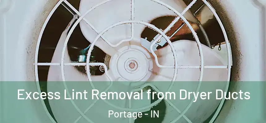  Excess Lint Removal from Dryer Ducts Portage - IN
