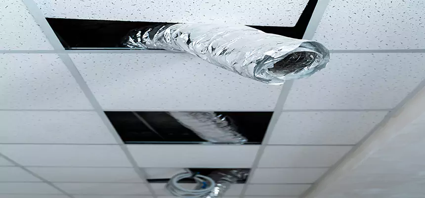 Our Air Duct Pet Hair Removal Services in Portage, IN