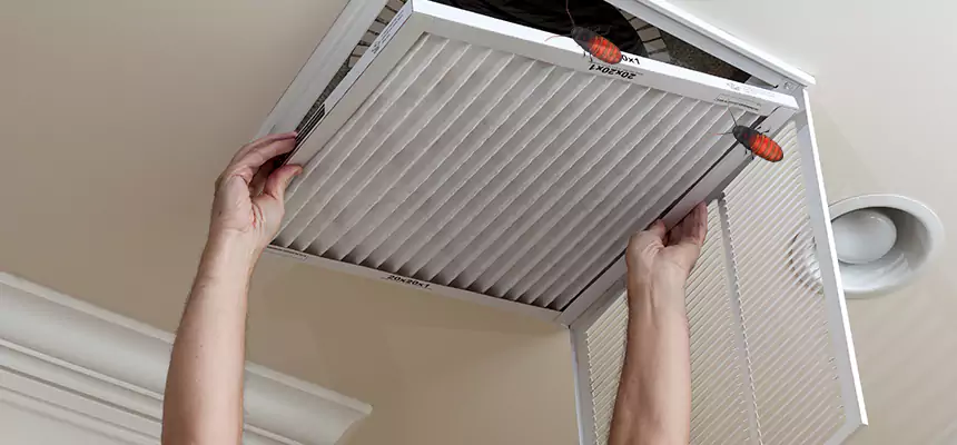 Our Insect Removal from Air Ducts Services in Portage, IN
