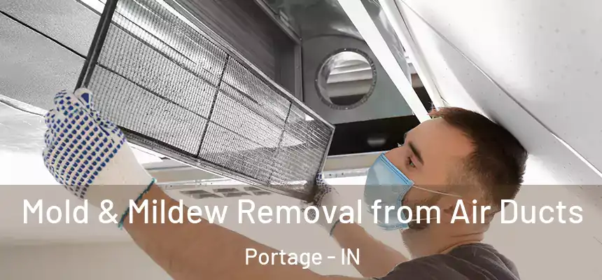 Mold & Mildew Removal from Air Ducts Portage - IN