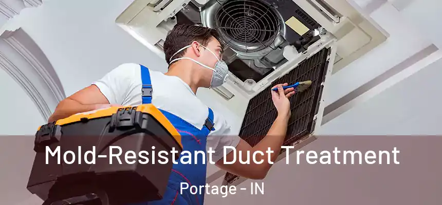  Mold-Resistant Duct Treatment Portage - IN