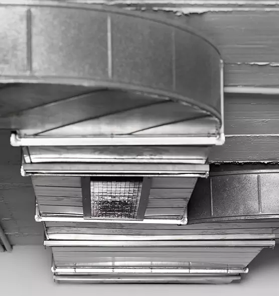 Professional Air Duct Pest Removal in Portage, IN