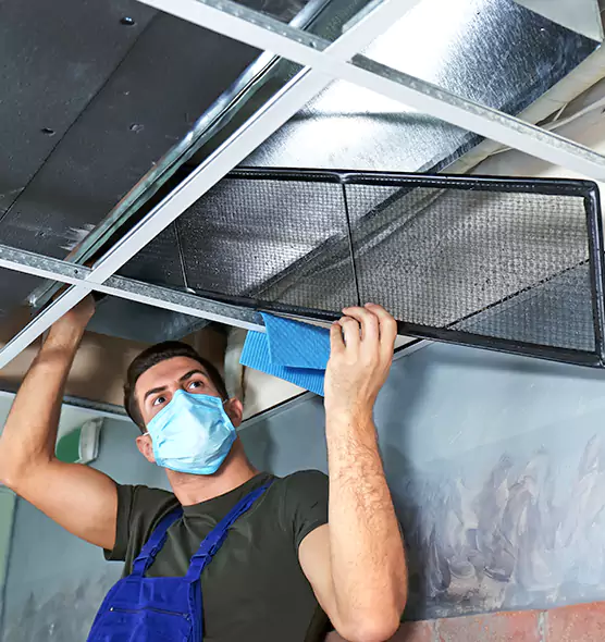 Professional Air Duct Pollen Cleaning in Portage, IN