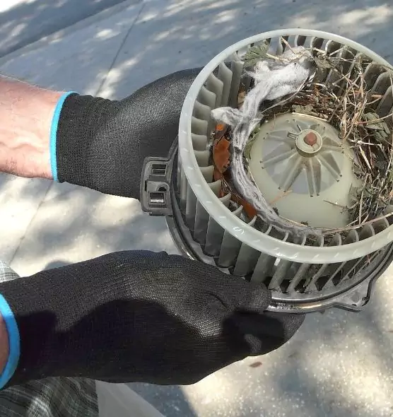 About Air Duct Rat Removal in Portage, IN