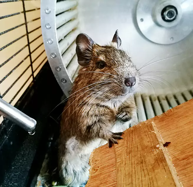 Why Homeowners & Businesses Trust Us Portage, IN?